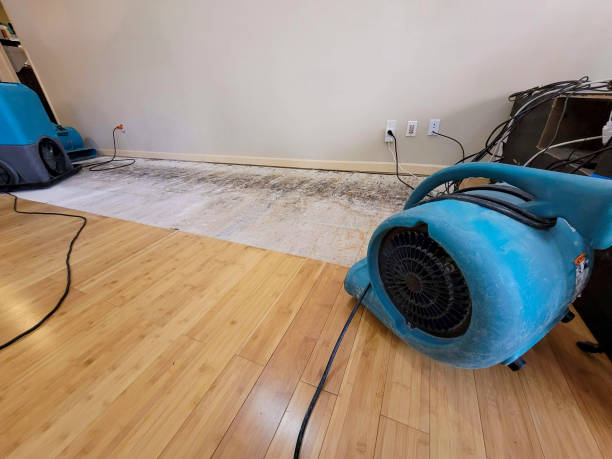 Professional Flood Damage Cleanup technician working in Auburn, CA